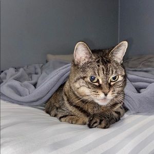 Meet your Posher, Victorina